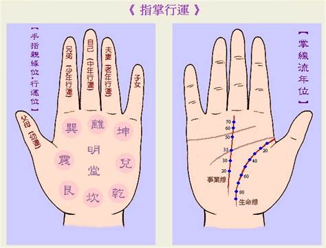 手型算命|金形手（方形手、实际手、能干手）手相图解及性格分析